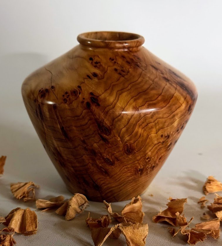 Alligator Juniper hollow form