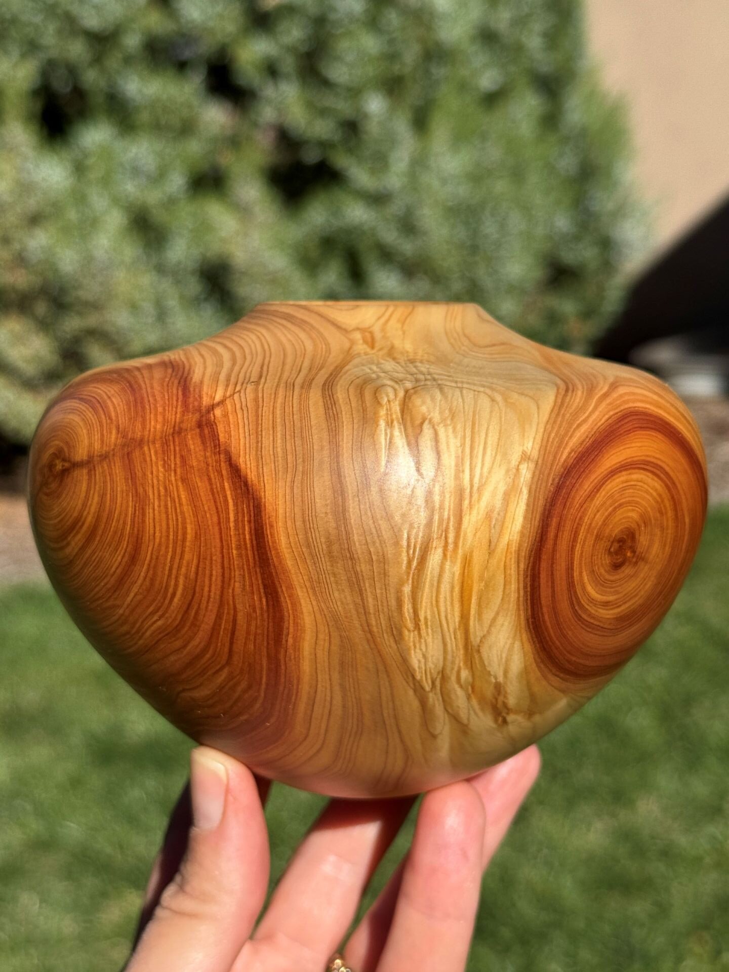 Alligator Juniper Vessel