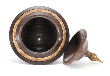 (Alternate View) Summer 2008 Contest