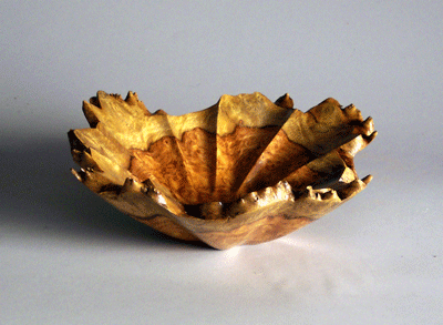 Amboyna Burl