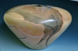 Ambrosia Maple Hollow Form