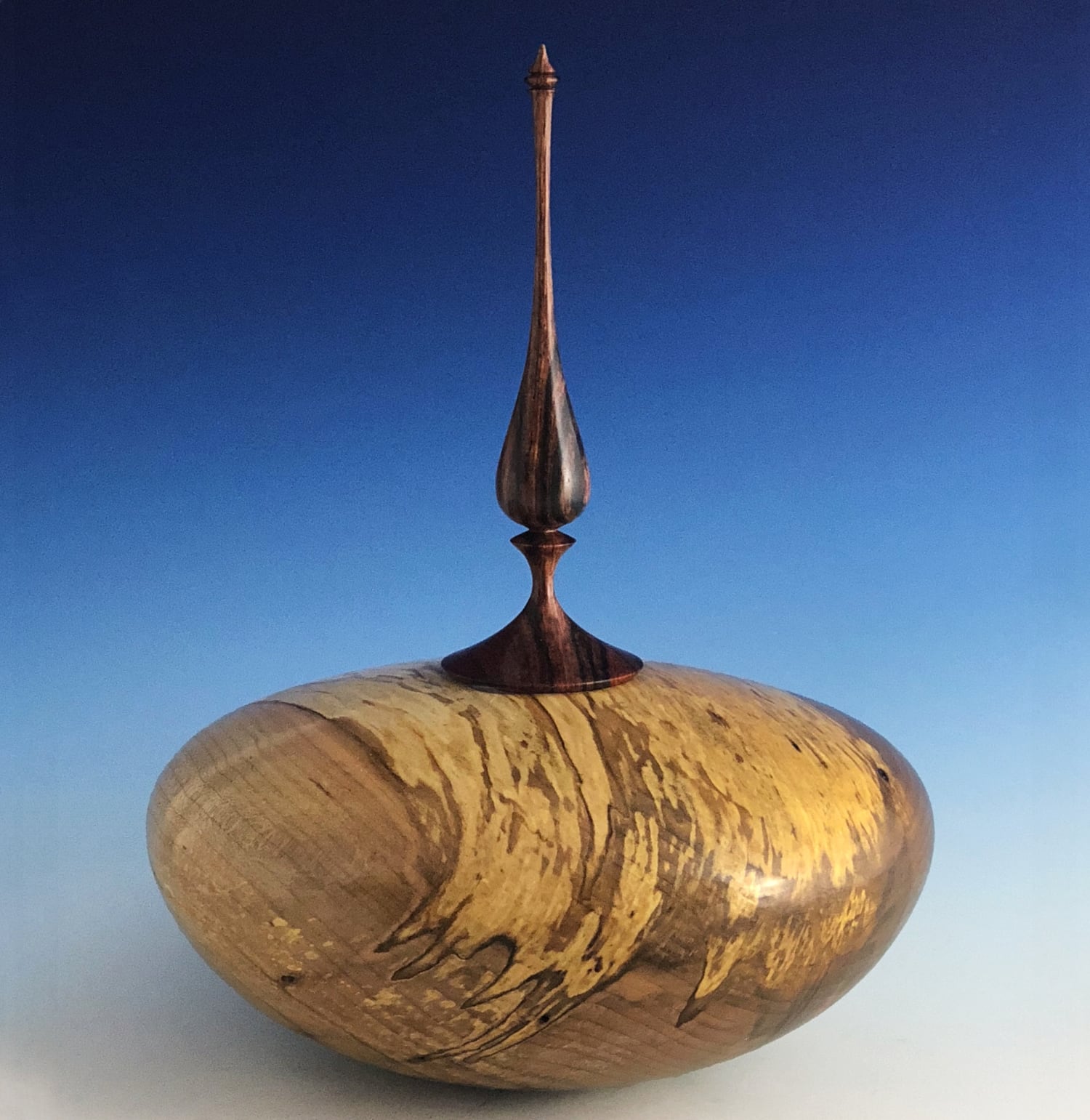 Ambrosia Maple Hollow Form