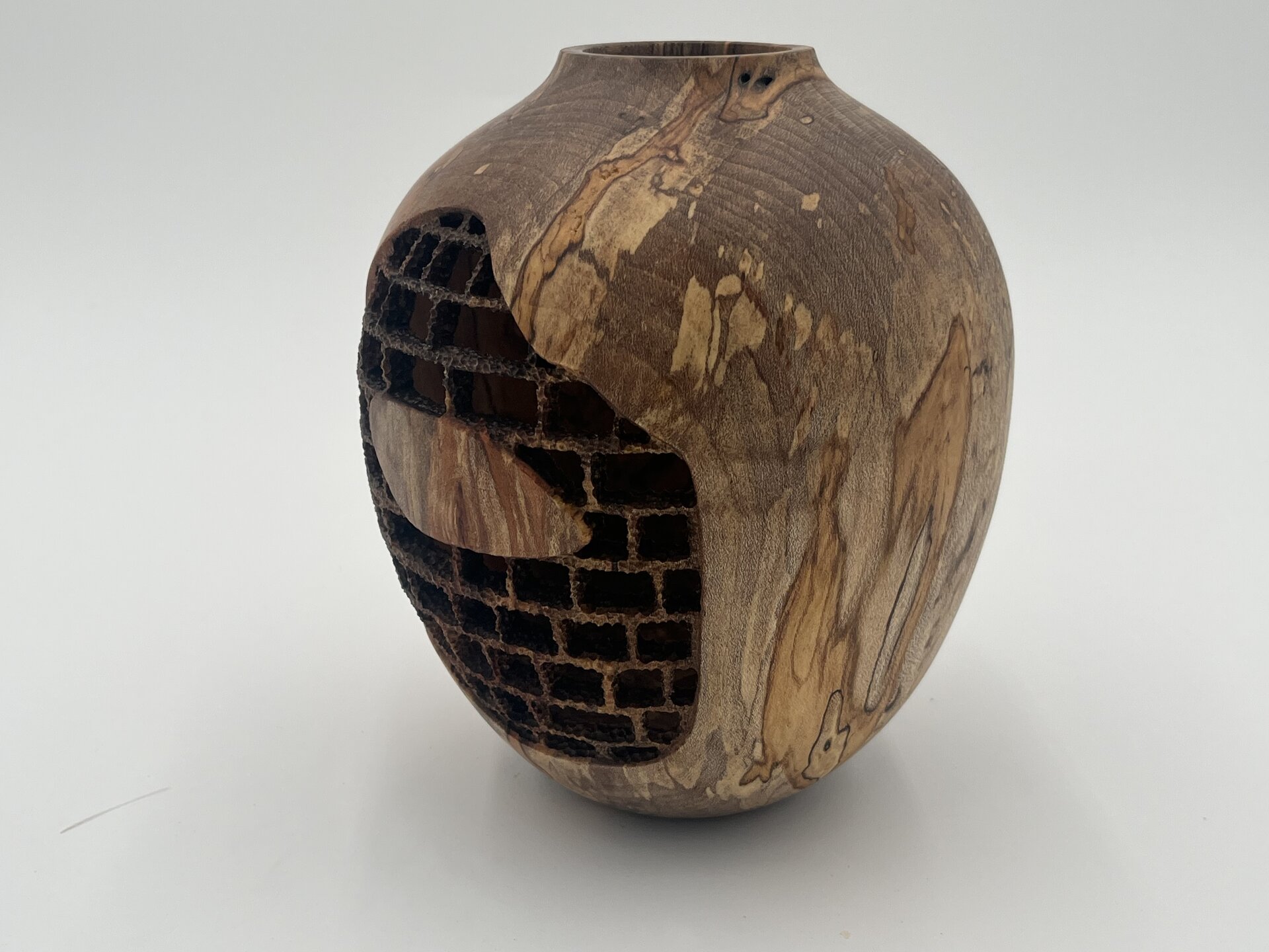 Ambrosia maple