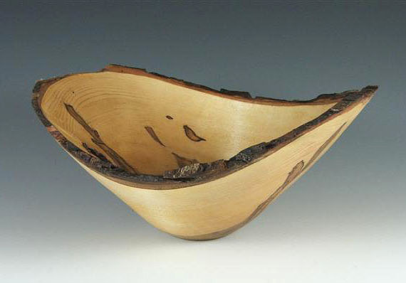 Ambrosia Maple