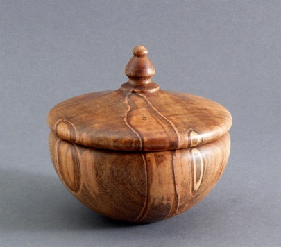 Ambrosia Maple