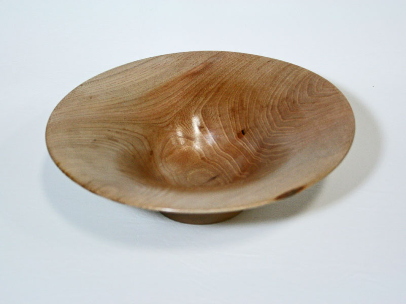 American Elm