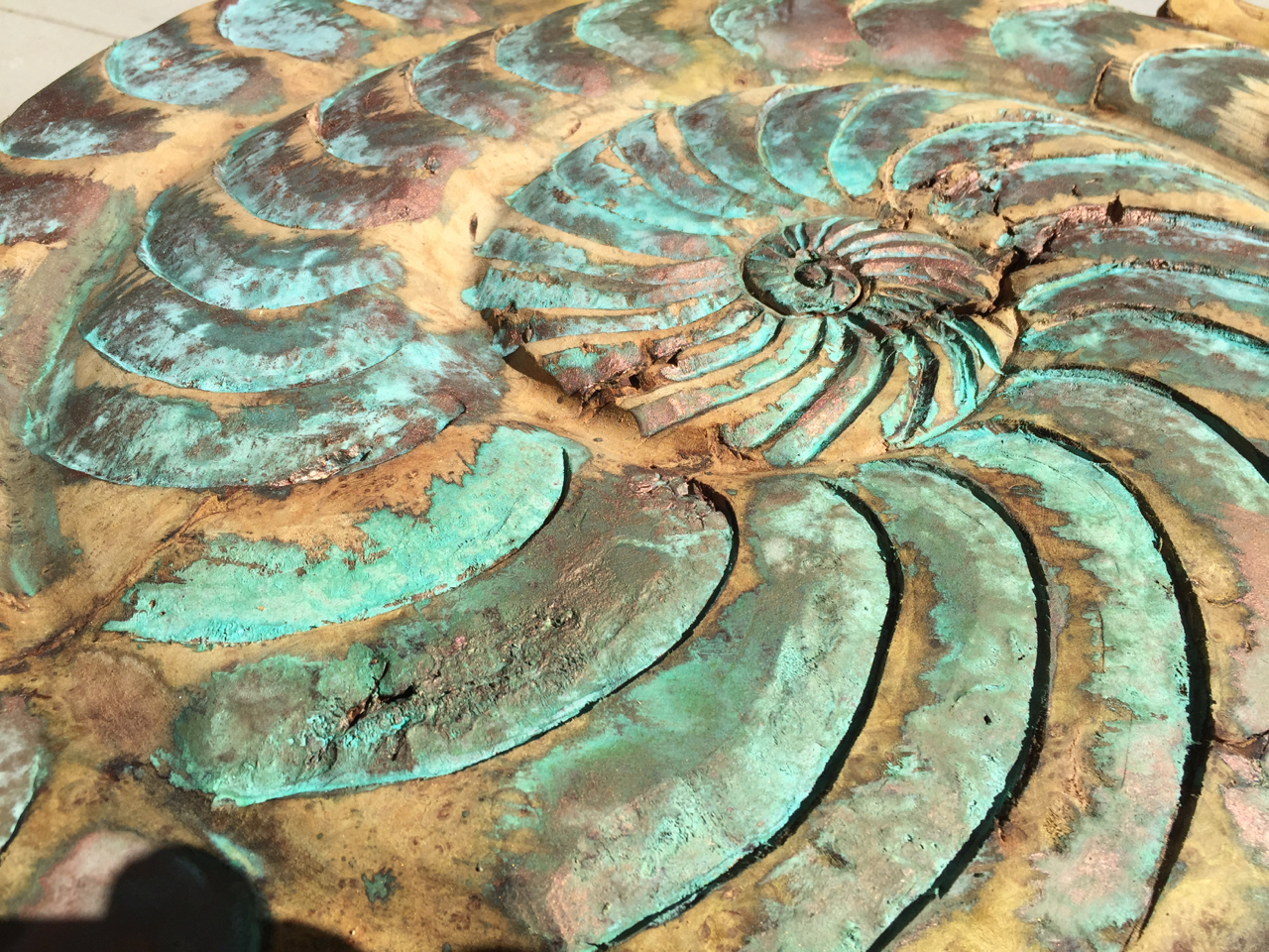 Ammonite of BLM