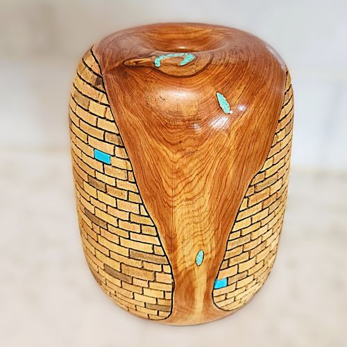 Ancient Dwellings w/ Desert Turtle - side view