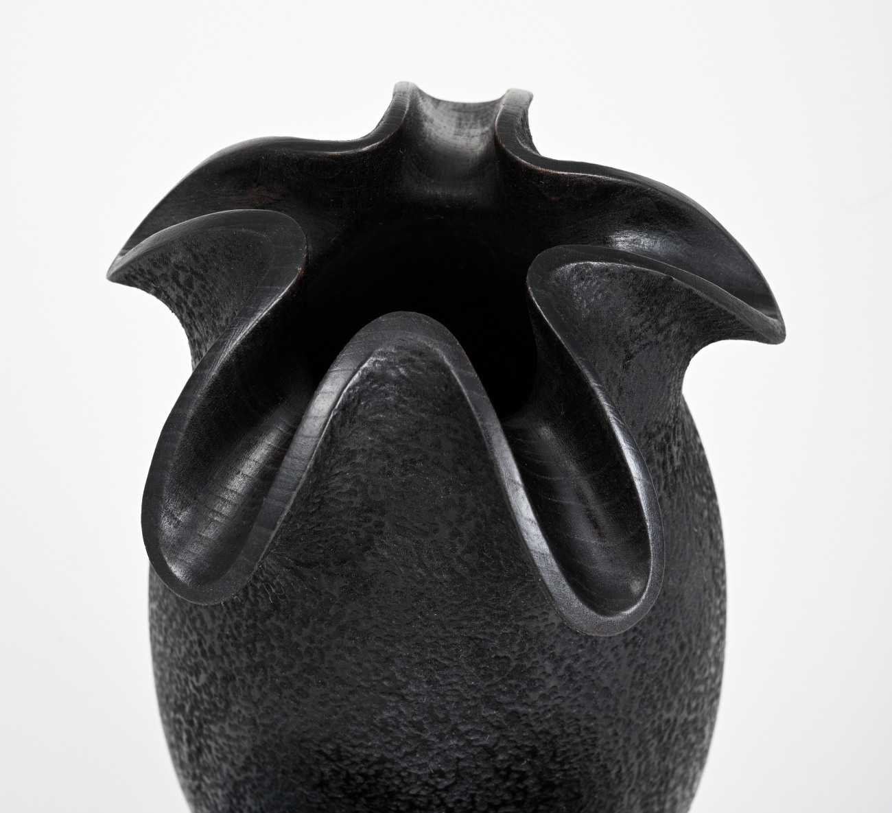 "Anemone Noir" Detail