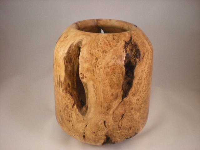 Another view of AAW January 2010 Contest entry