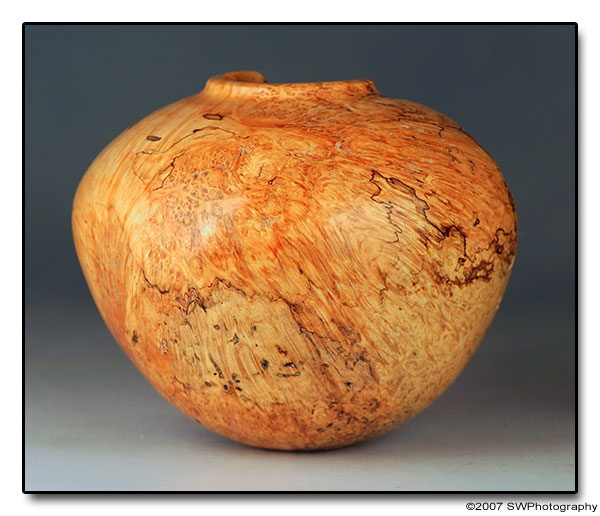 Ant Condominium ... Hollow Form