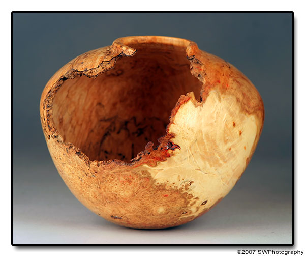 Ant Condominium ... Hollow Form