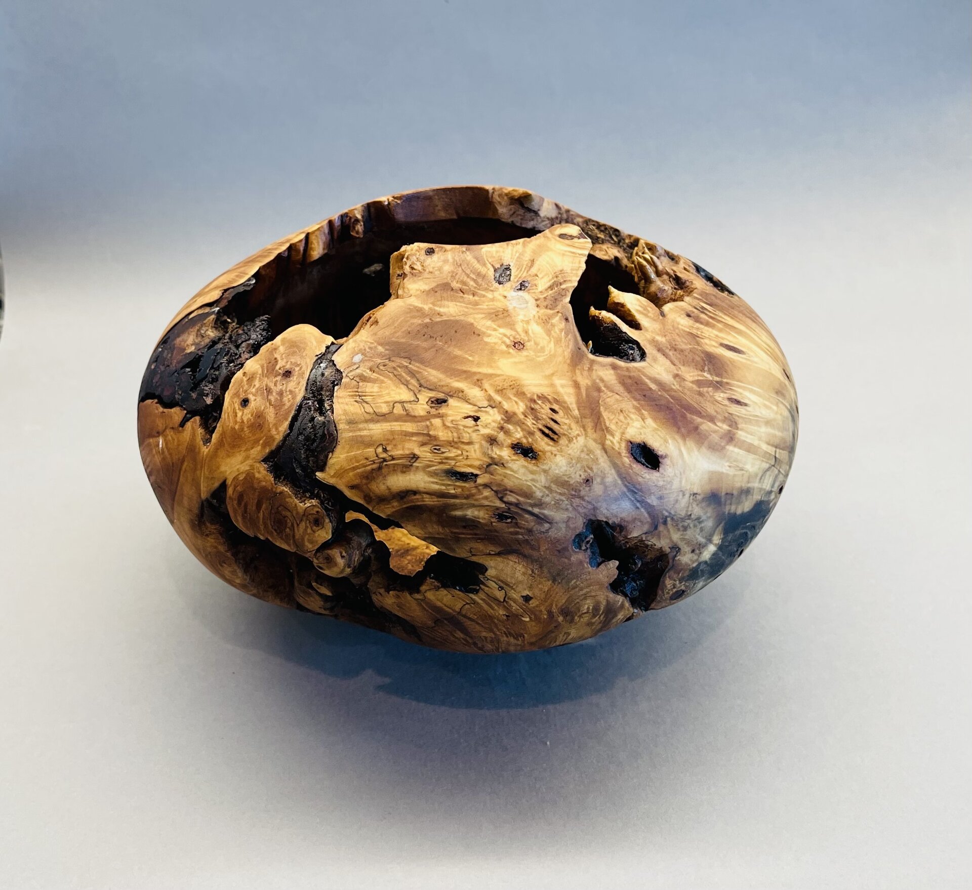 Anybody know an orthodontist?