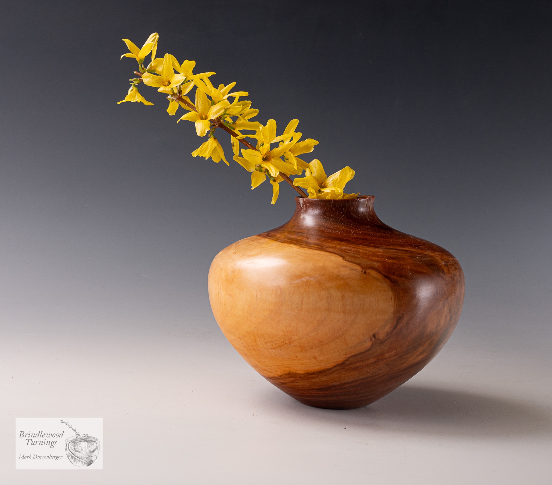 Apple jar with Forsythia