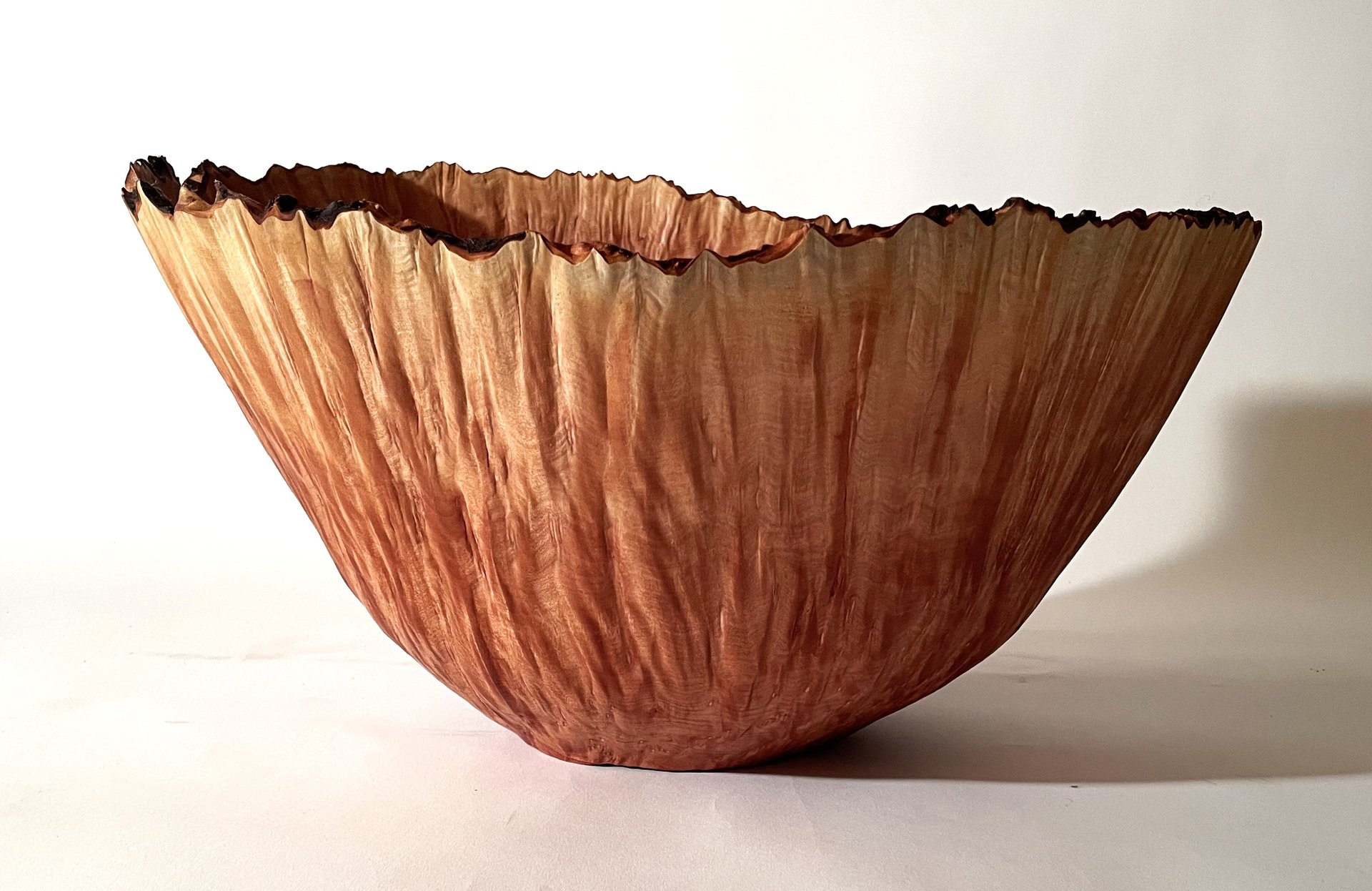 Arbutus Burl Bowl Morphed #2