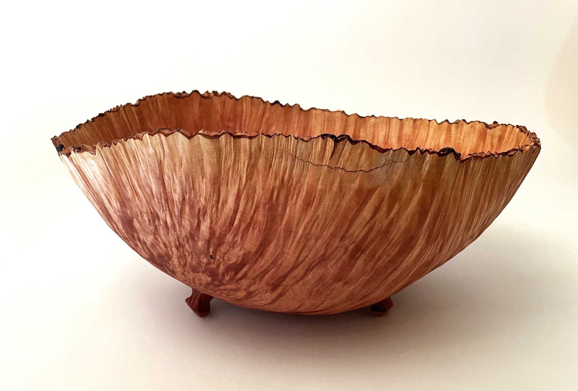 Arbutus Menzies Burl 3 Footed Bowl Morphed