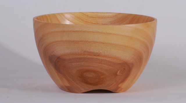 Ash bowl
