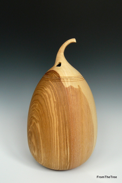 Ash form