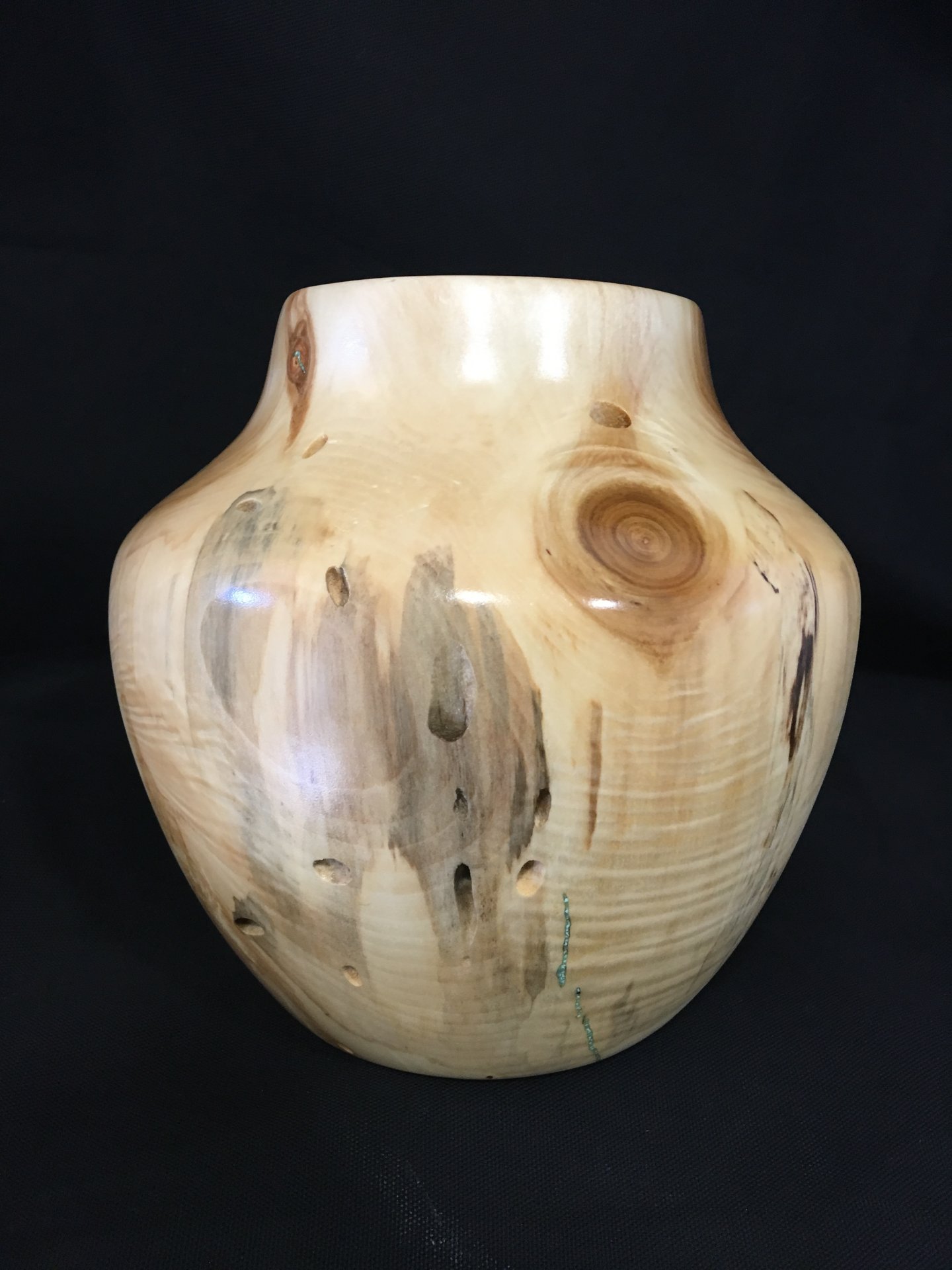 Aspen with worm holes