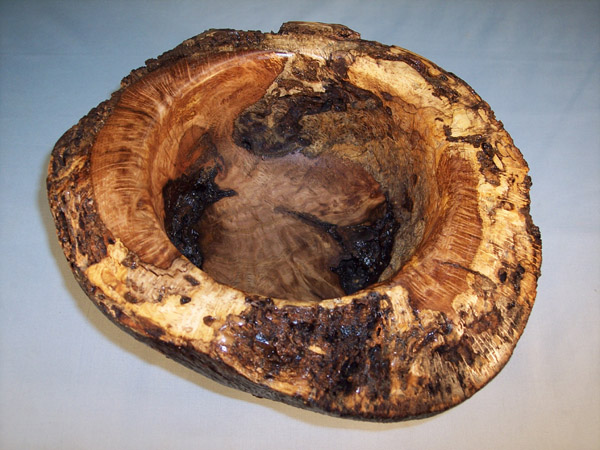 Beauty or the Beast?