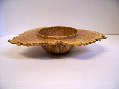 Big leaf maple burl  8" x varying 4 to 5" x 1/8th wall