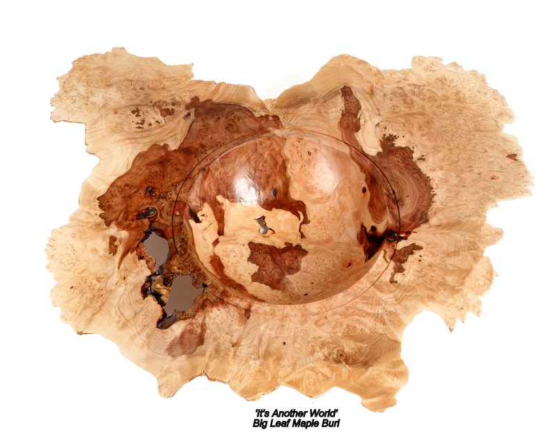 Big Leaf Maple Burl  'Another World'