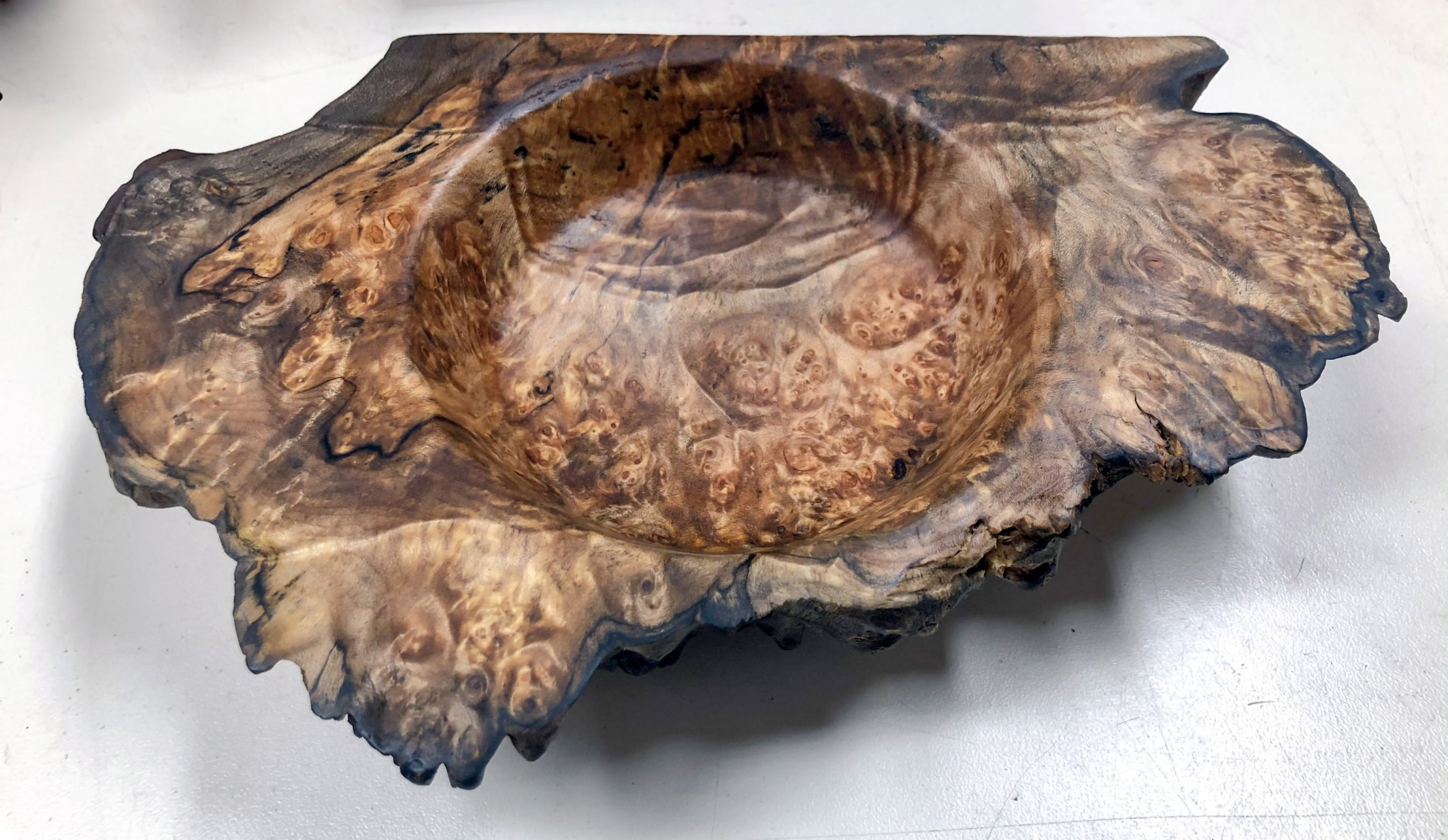 Big leaf maple burl change dish