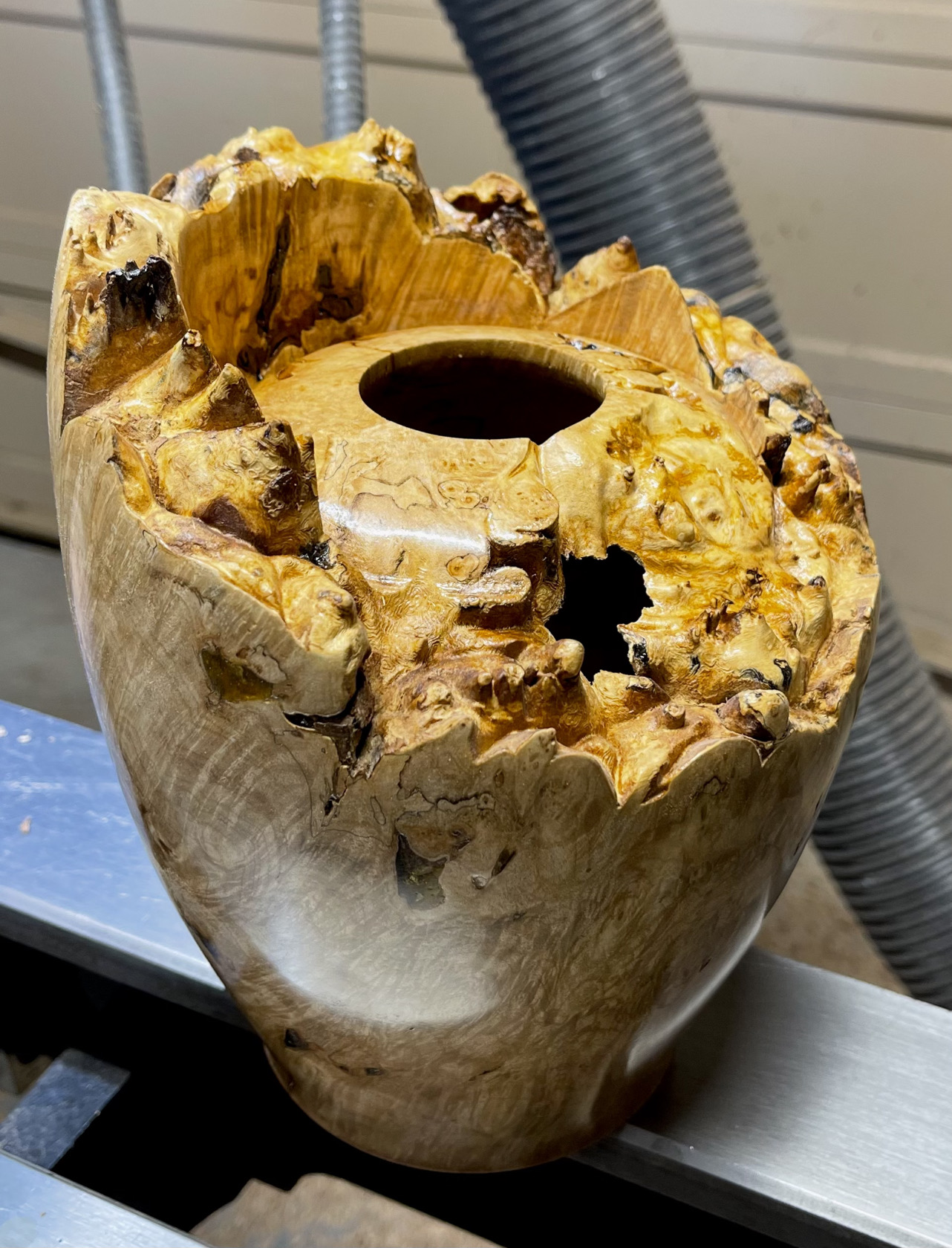 Big leaf maple burl hollow form