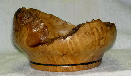 Big Leaf Maple Burl