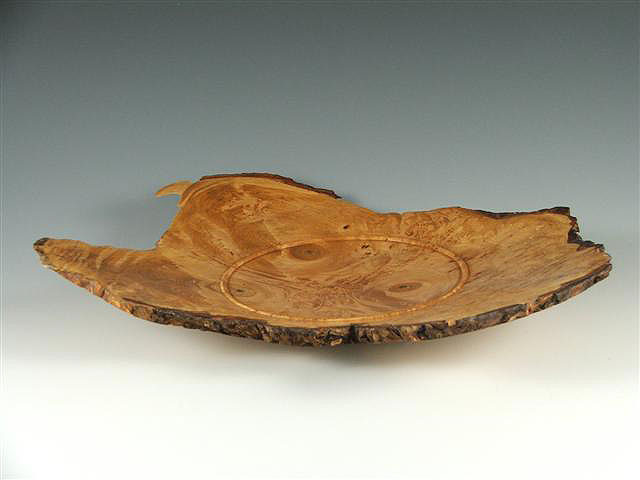 Big Leaf Maple Burl