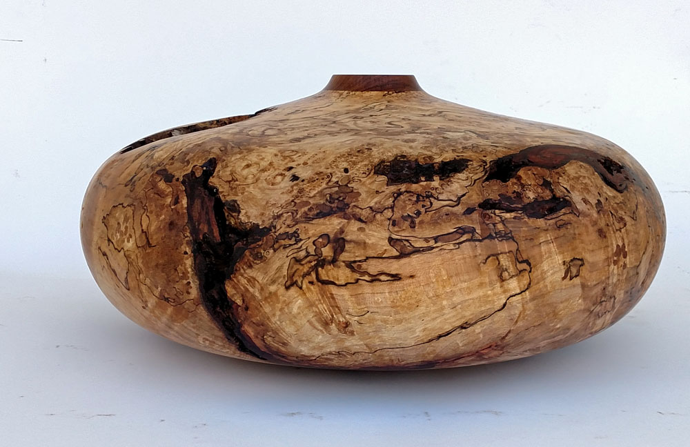 Big Spalted Ambrosia Maple Burl Hollowform