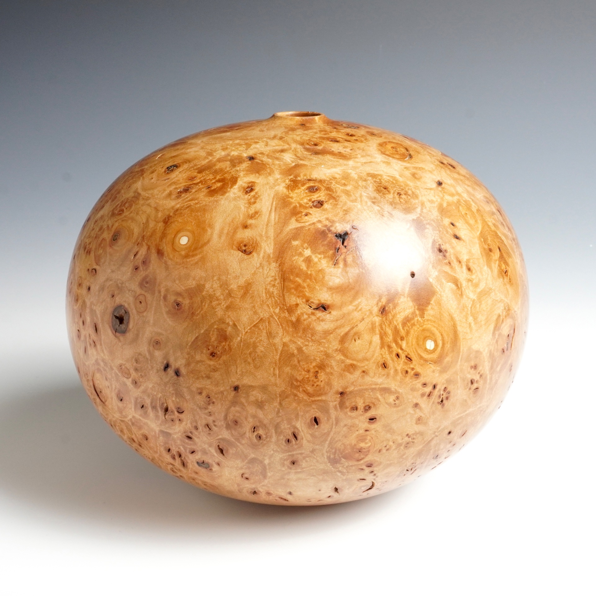 Bigleaf Maple Hollow Form