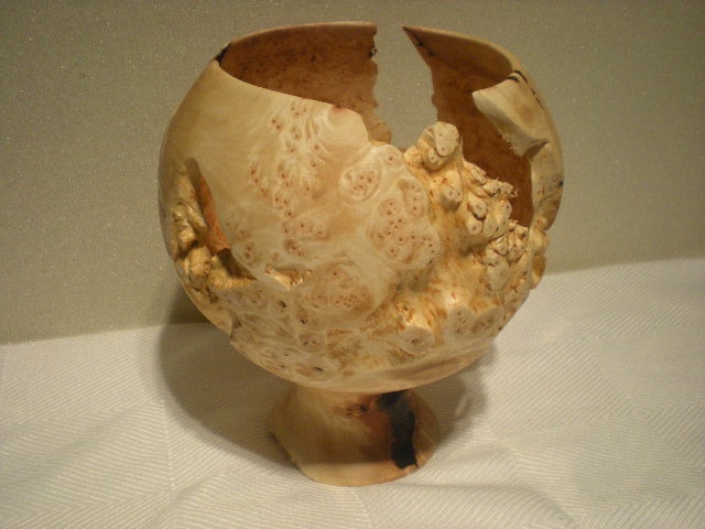 Birch root burl