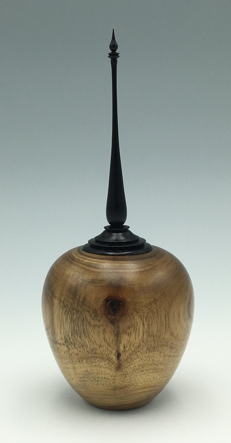 Black Acacia Hollow Form