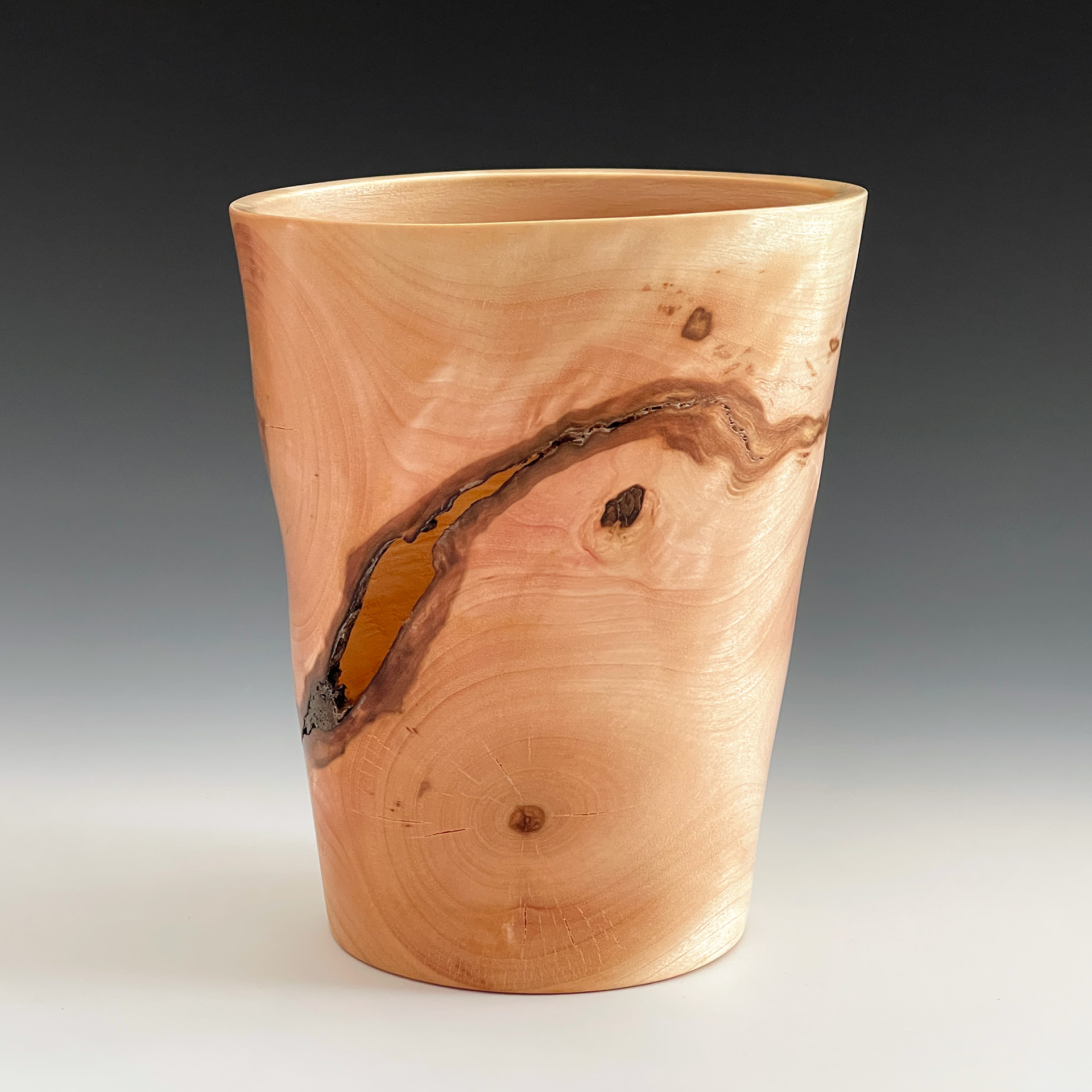 Black Birch Crotch Vase