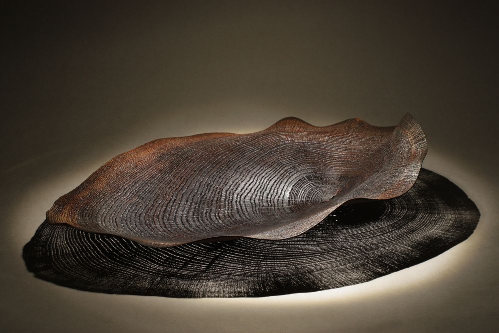 Black dendrochronology
