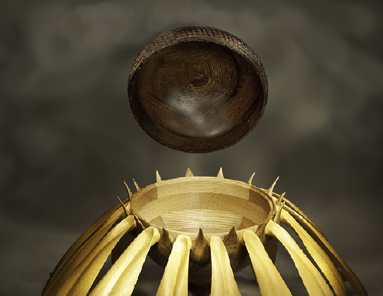 Black Eyed Susan detail