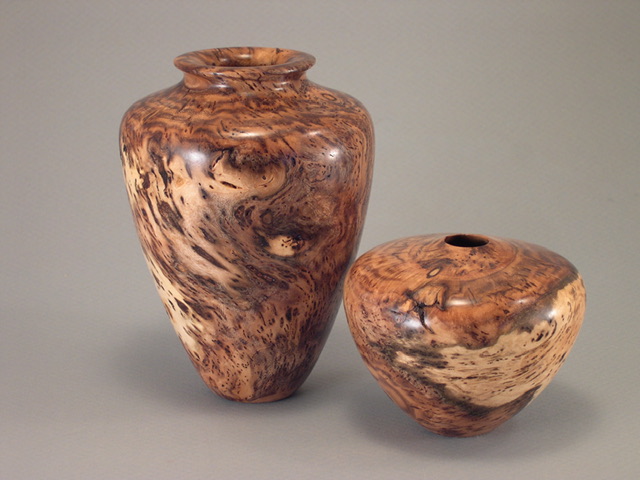 Black Locust Burl