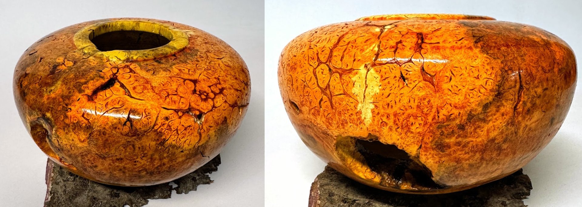 Black locust burl