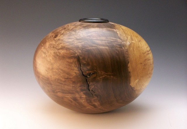 Black Walnut Crotch HF
