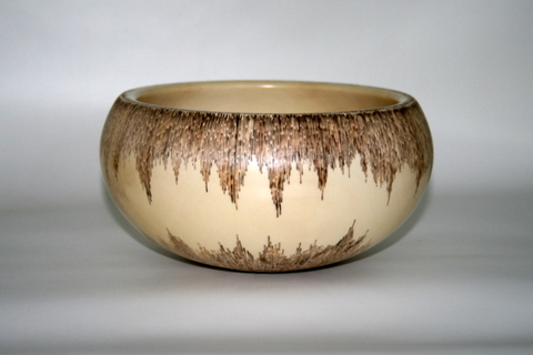 Bleached box elder