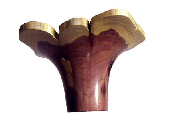 Blooming Cedar(lower side)