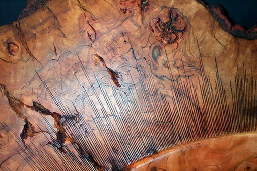 Bowl detail/burning