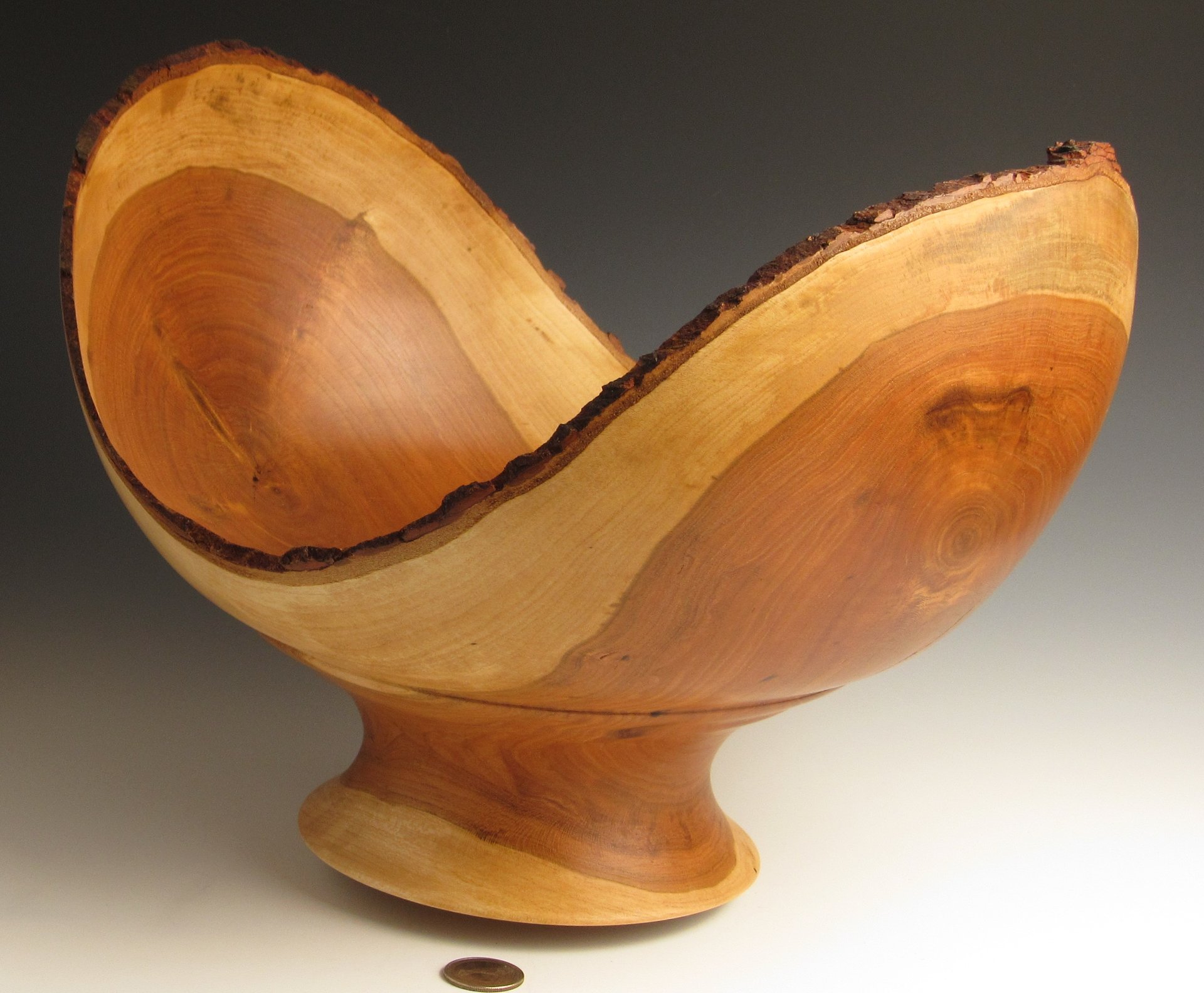Bowl from a Log