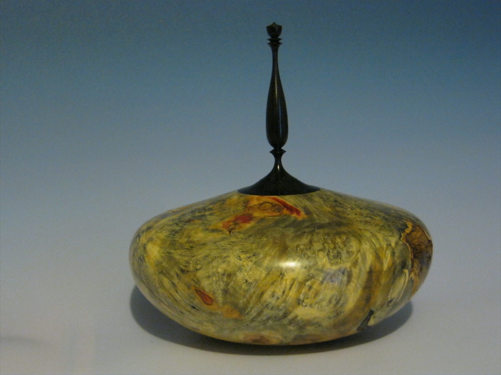 Box Elder Burl