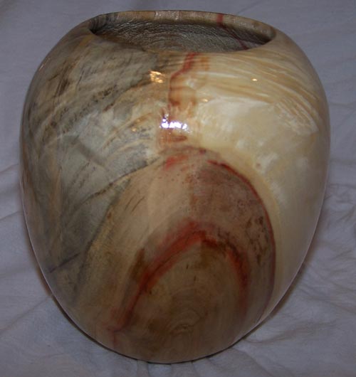 box elder