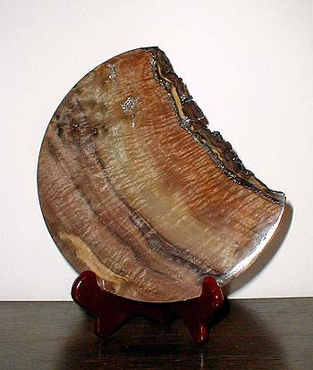 broken plate / natural edge