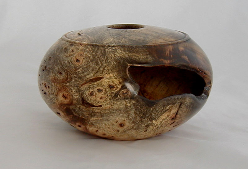 Buckeye Burl Hollow Form