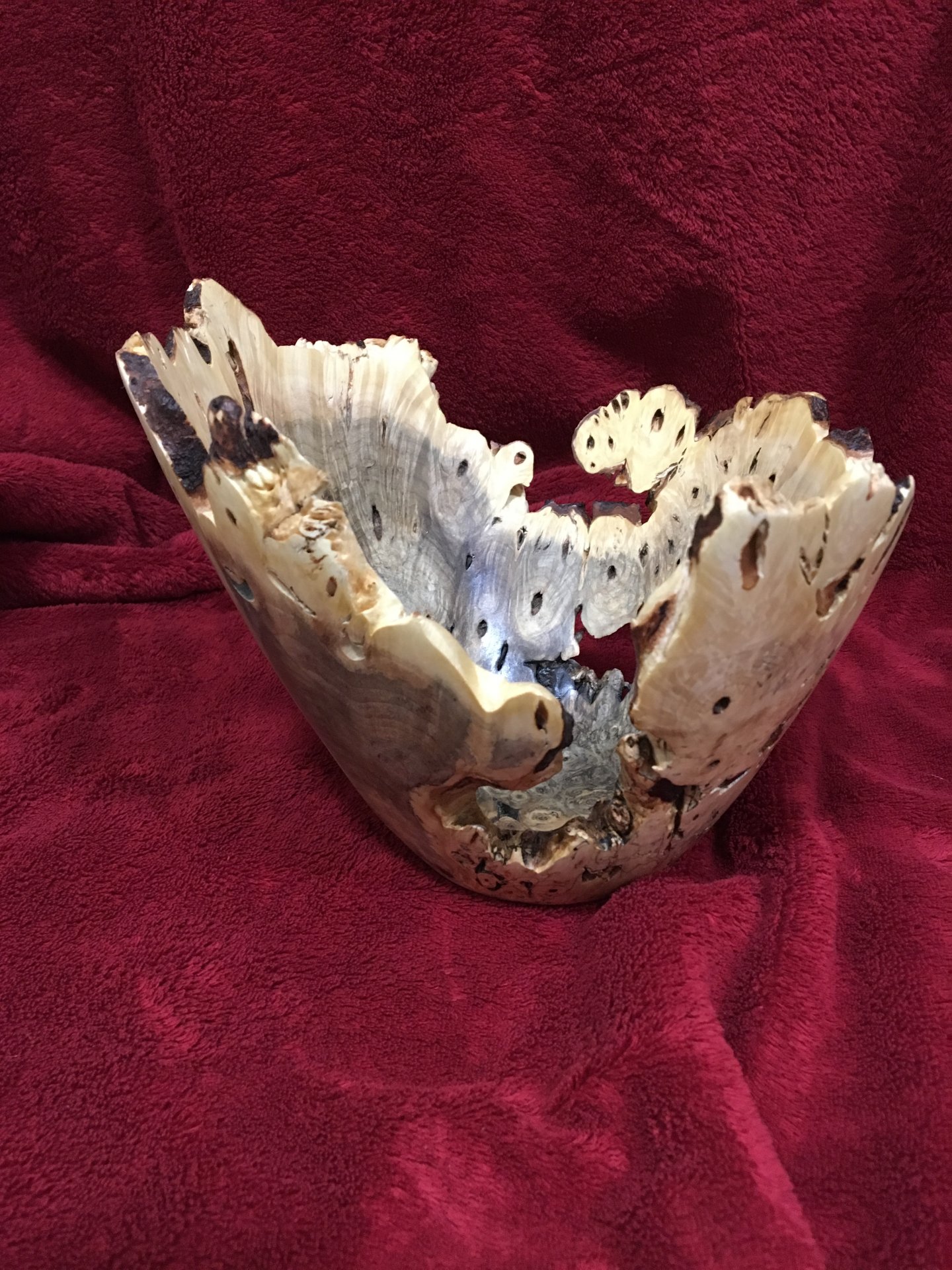 Buckeye burl