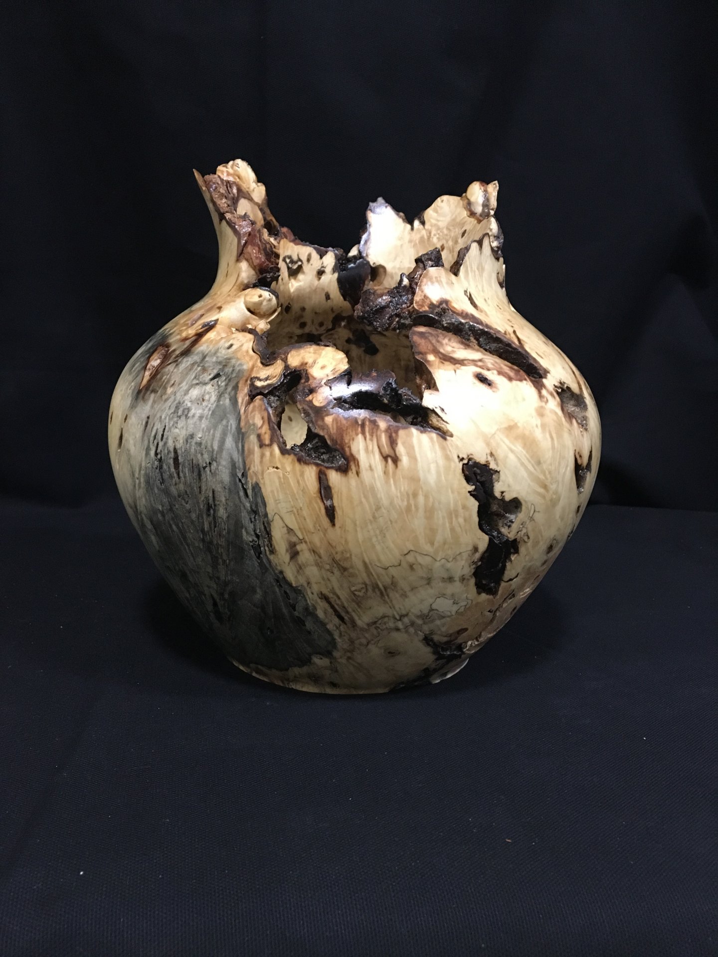 Buckeye burl